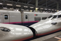 japon 2017 (31)