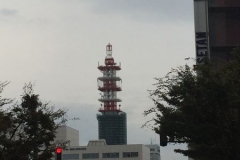japon 2017 (33)
